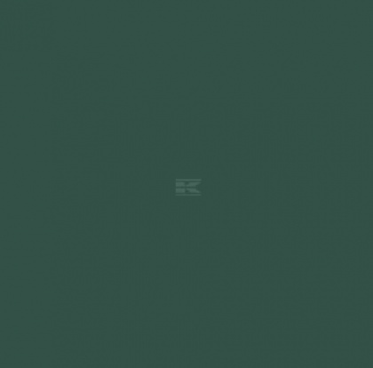 Vopsea verde mușchi RAL 6005 1l