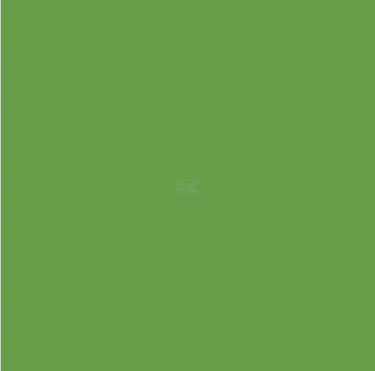 Vopsea galbenă-verde RAL 6018 1l