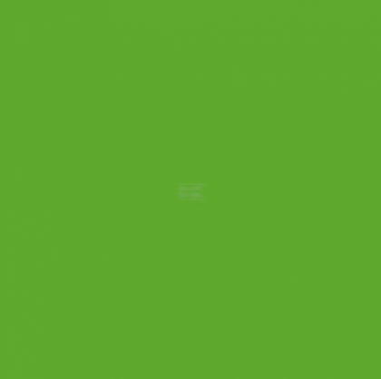 Vopsea verde natural Fendt 1l