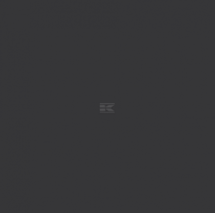 Vopsea gri diamant Fendt 1l