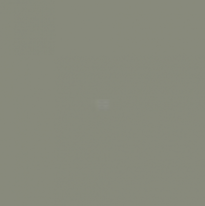 Vopsea gri șasiu potrivită pentru Fendt 1l