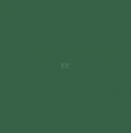 616004KR Spray vopsea verde potrivită pentru Fendt 400ml