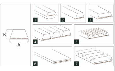 1424250, 603354.27, b123461, B113169 CUREA TRAPEZOIDALĂ MULTIPLĂ 3HB